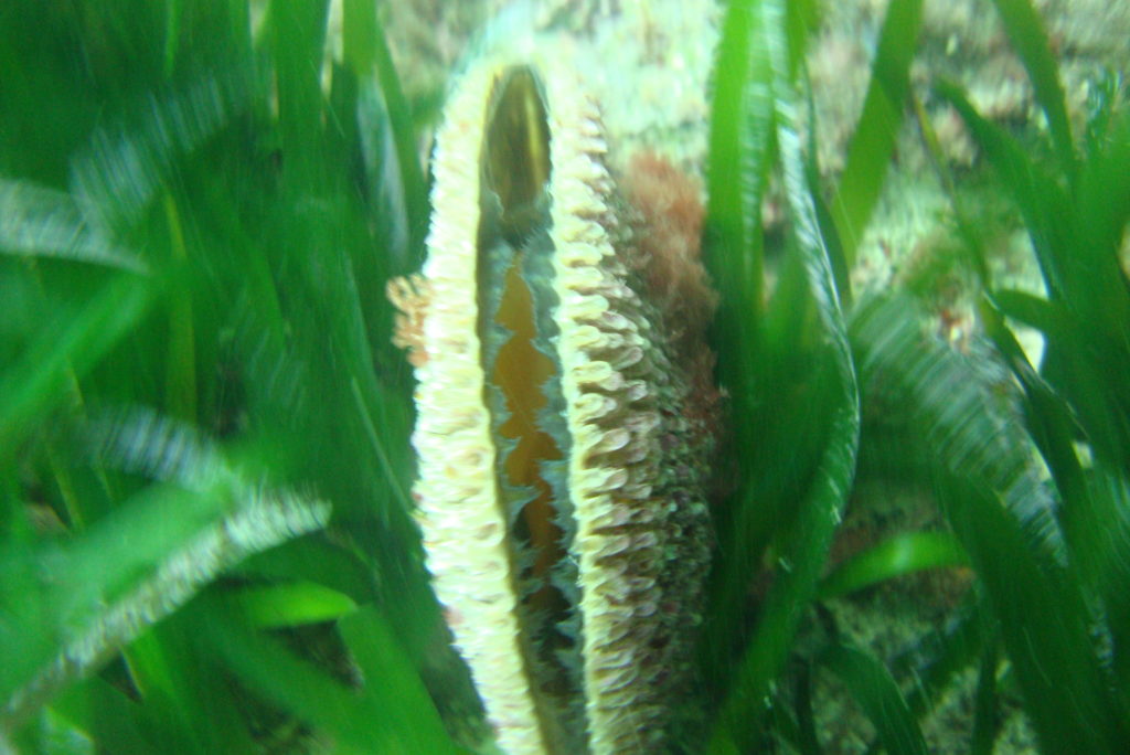 dsc01792